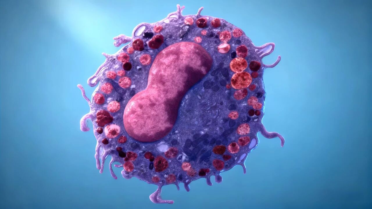 /uploads/image/2025/12/13/微信图片_2025-12-13_080522_420.jpg 微信图片_2025-12-13_080522_420.jpg