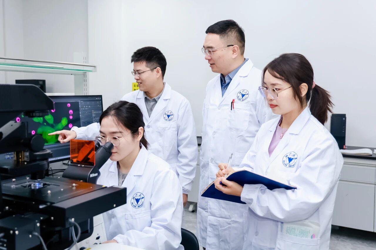 /uploads/image/2025/12/13/微信图片_2025-12-13_080530_348.jpg 微信图片_2025-12-13_080530_348.jpg