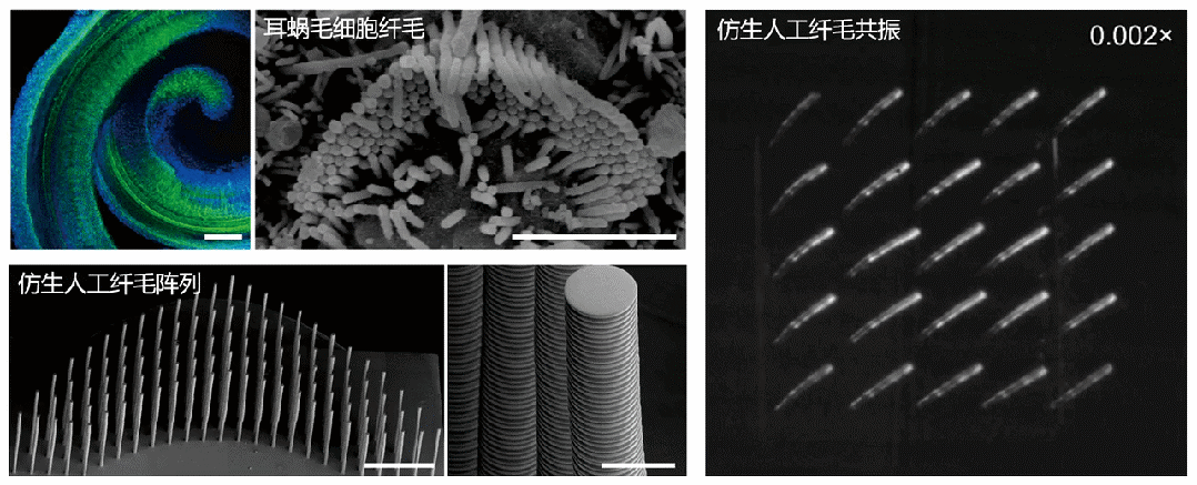 图片1.gif
